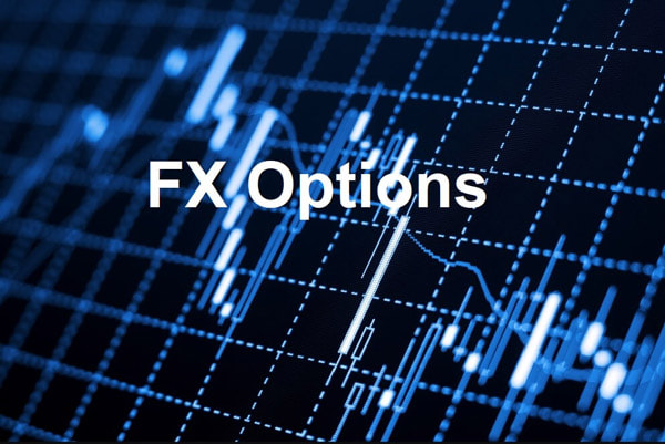 In-depth-Understanding-Forex-Options-Trading